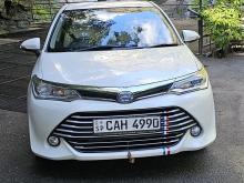 Toyota Axio 2015 Car