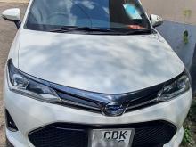Toyota Axio WXB 2019 Car