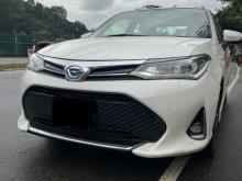 Toyota Axio WXB 2018 Car
