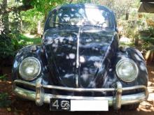 Volkswagen Beetle 1961 Car
