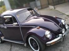 Volkswagen Beetle 1971 Car