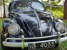 Volkswagen Beetle 1957 Car