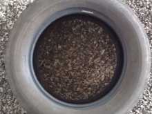 https://riyasewana.com/uploads/-1756514-bridgestone-91309104893.jpg