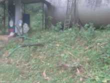 https://riyasewana.com/uploads/-21-000l-diesel-2815270615992.jpg