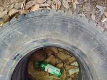 Bridgestone 750.16 tyre 2025
