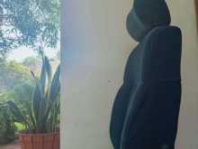 https://riyasewana.com/uploads/-caravan-driving-1312080815052.jpg