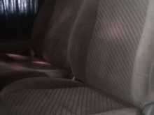 DolphinFrontSeat