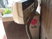 L g