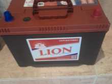 Lion