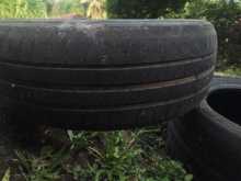 Maxis Tyre