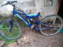 Mountan