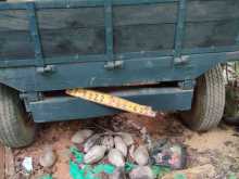 https://riyasewana.com/uploads/-tractor-tailor-2816055815621.jpg