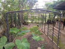 https://riyasewana.com/uploads/-used-201813404192.jpg