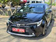 Toyota Corolla Black Edition 2024 Car