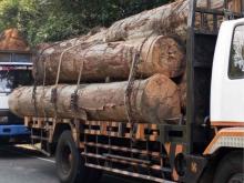 https://riyasewana.com/uploads/ashok-leyland-1613-180030924842.jpg