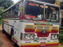 Ashok-Leyland 54  Viking 2005 Bus