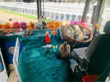 https://riyasewana.com/uploads/ashok-leyland-ashok-layland-2018-3018473912764.jpg