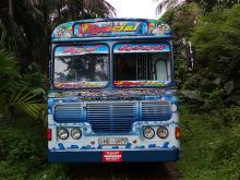 Ashok-Leyland Leyland 2017 Bus