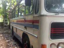https://riyasewana.com/uploads/ashok-leyland-ashok-leyland-29037284602.jpg