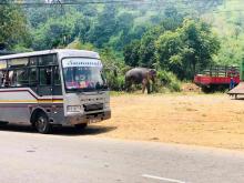 https://riyasewana.com/uploads/ashok-leyland-bus-2914150024392.jpg