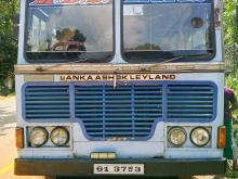 Ashok-Leyland Comet 1992 Bus