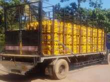 https://riyasewana.com/uploads/ashok-leyland-daf-42144314582.jpg