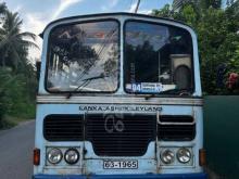 Ashok-Leyland Euro Timing 1999 Bus