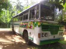 Ashok-Leyland Lelnd Viking 1999 Bus