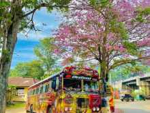 Ashok-Leyland Leyland 2011 Bus