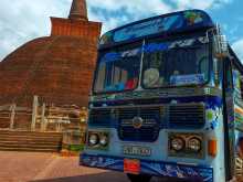 Ashok-Leyland Leyland Semi Seat 54 2011 Bus