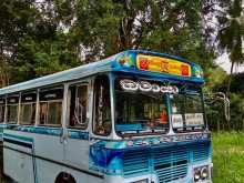 Ashok-Leyland Lynx 2008 Bus