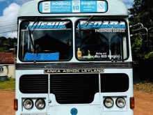 Ashok-Leyland Ruby 42 Hino Power 2008 Bus