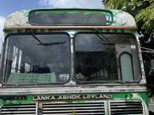 Ashok-Leyland Ruby Body Anasa 42 2004 Bus