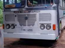 Ashok-Leyland Ruby Rush 2004 Bus