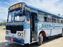 Ashok-Leyland Leyland 2019 Bus