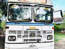 Tata 1313 2025 Bus