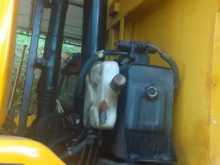 https://riyasewana.com/uploads/ashok-leyland-tipper-191600264683.jpg
