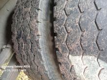 https://riyasewana.com/uploads/ashok-leyland-tipper-2619301917605.jpg