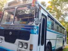 Ashok-Leyland Turbo 2010 Bus