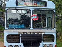 Ashok-Leyland Viking 2015 Bus