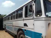 Ashok-Leyland Turbo 2011 Bus