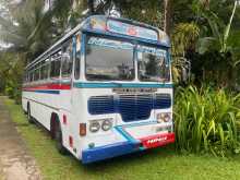 Ashok-Leyland Viking 2002 Bus