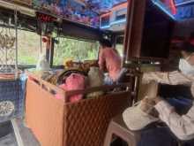 https://riyasewana.com/uploads/ashok-leyland-viking-2005-1918544612613.jpg