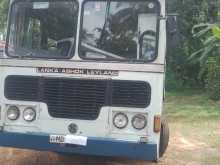 Ashok-Leyland Viking 2010 Bus
