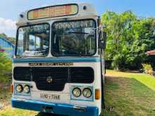 Ashok-Leyland Viking 2010 Bus