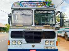Ashok-Leyland Viking 2014 Bus