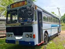 Ashok-Leyland Viking 2014 Bus
