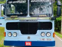 Ashok-Leyland Viking 2014 Bus