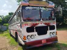 Ashok-Leyland Viking 2006 Bus