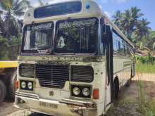 Ashok-Leyland Viking 2018 Bus